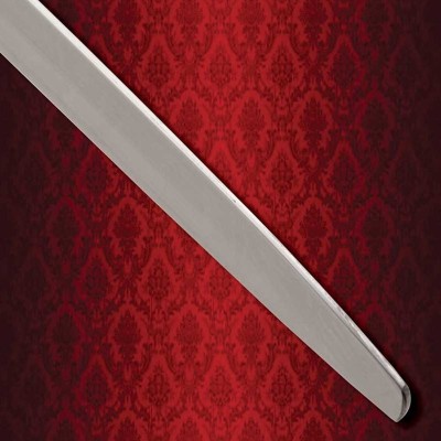 Epée de combat Chevalier Errant - LA FORGE DES CHEVALIERS®