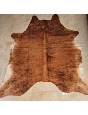 PEAU DE VACHE BRINDLE – Taille XXL