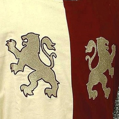 Tunique du Baron - la forge des chevaliers®