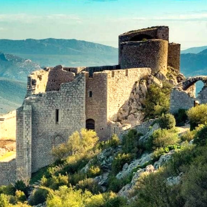 Château Médiéval - Château de Peyrepertuse