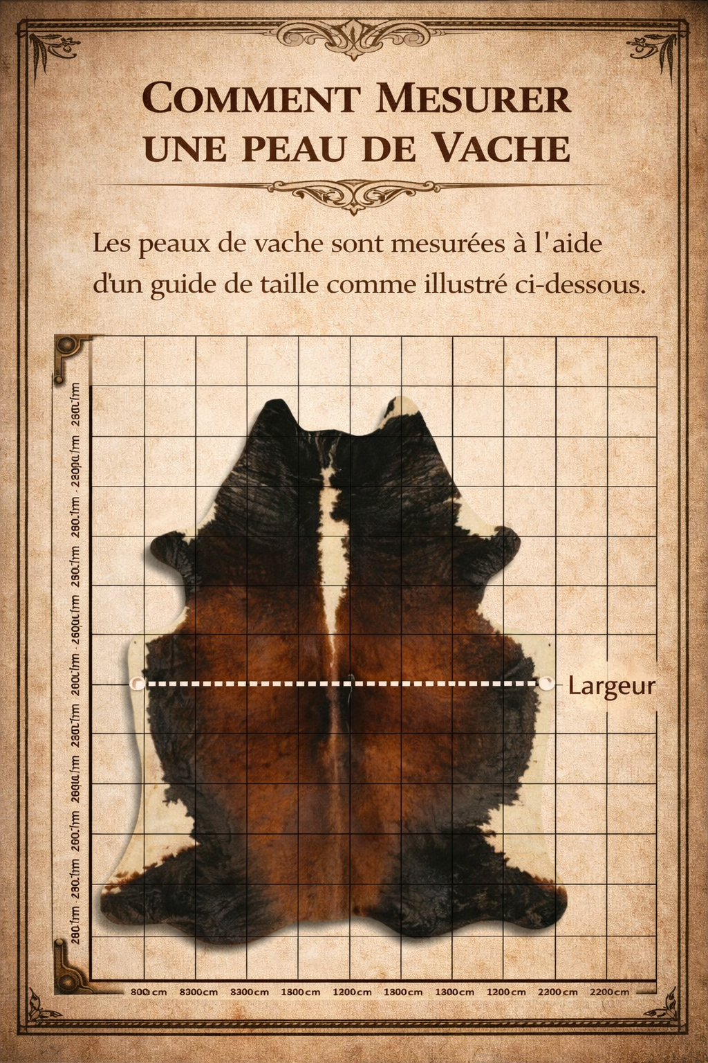 mesure-peau-de-vache