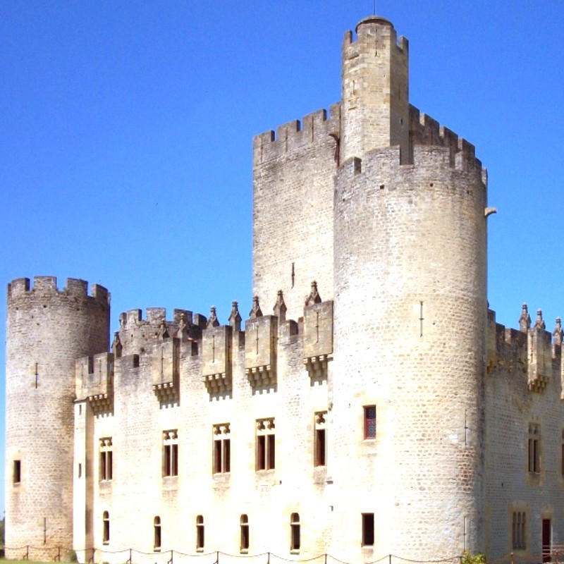 Château Médiéval - Château de Roquetaillade